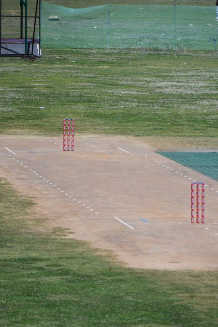 A close-up view of four cricket balls resting on a well-maintained grassy playing field. The foreground features a shiny red cricket ball with intricate white stitching, positioned towards the left si